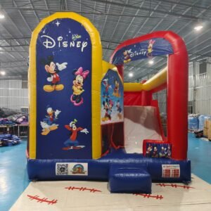 Disney-Themed inflatable combo bounce house with slide